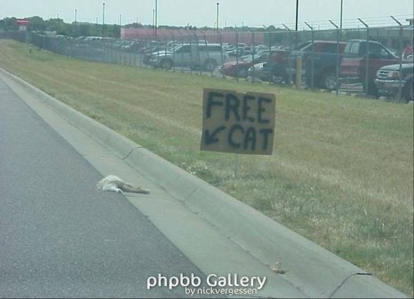 FREE