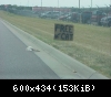 FREE
