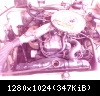 1980 d50