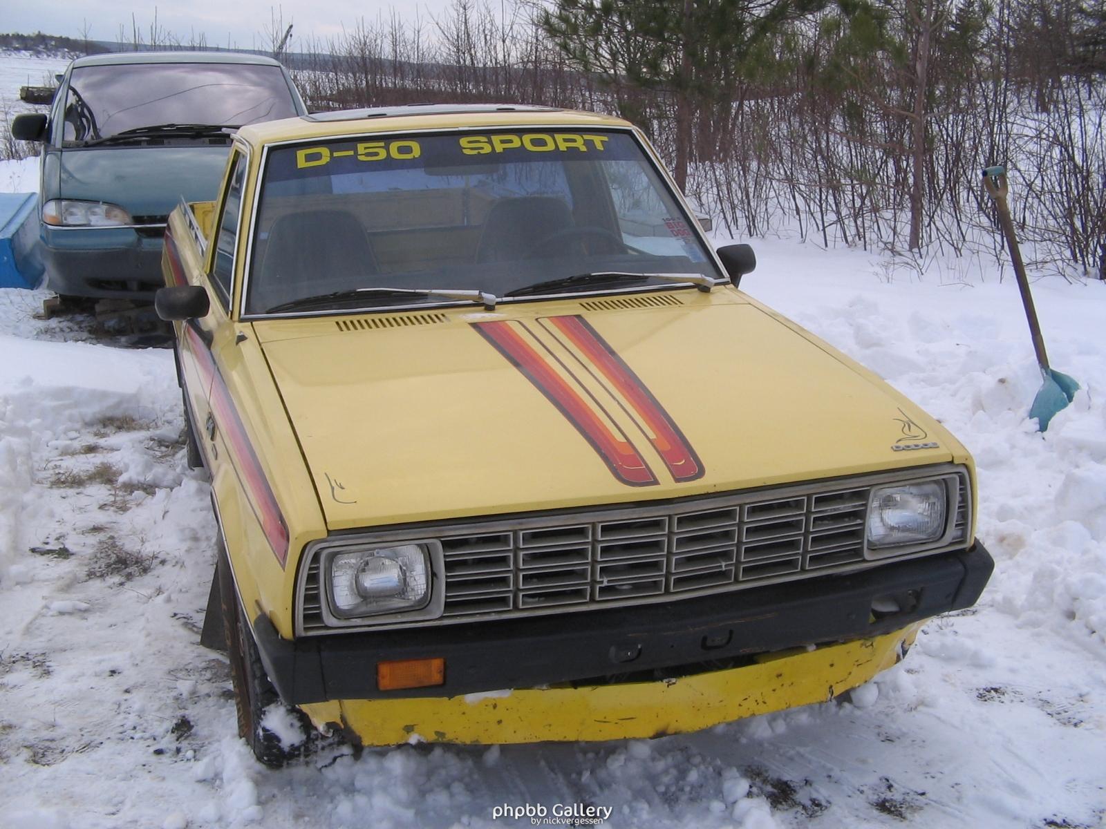 d-50 1