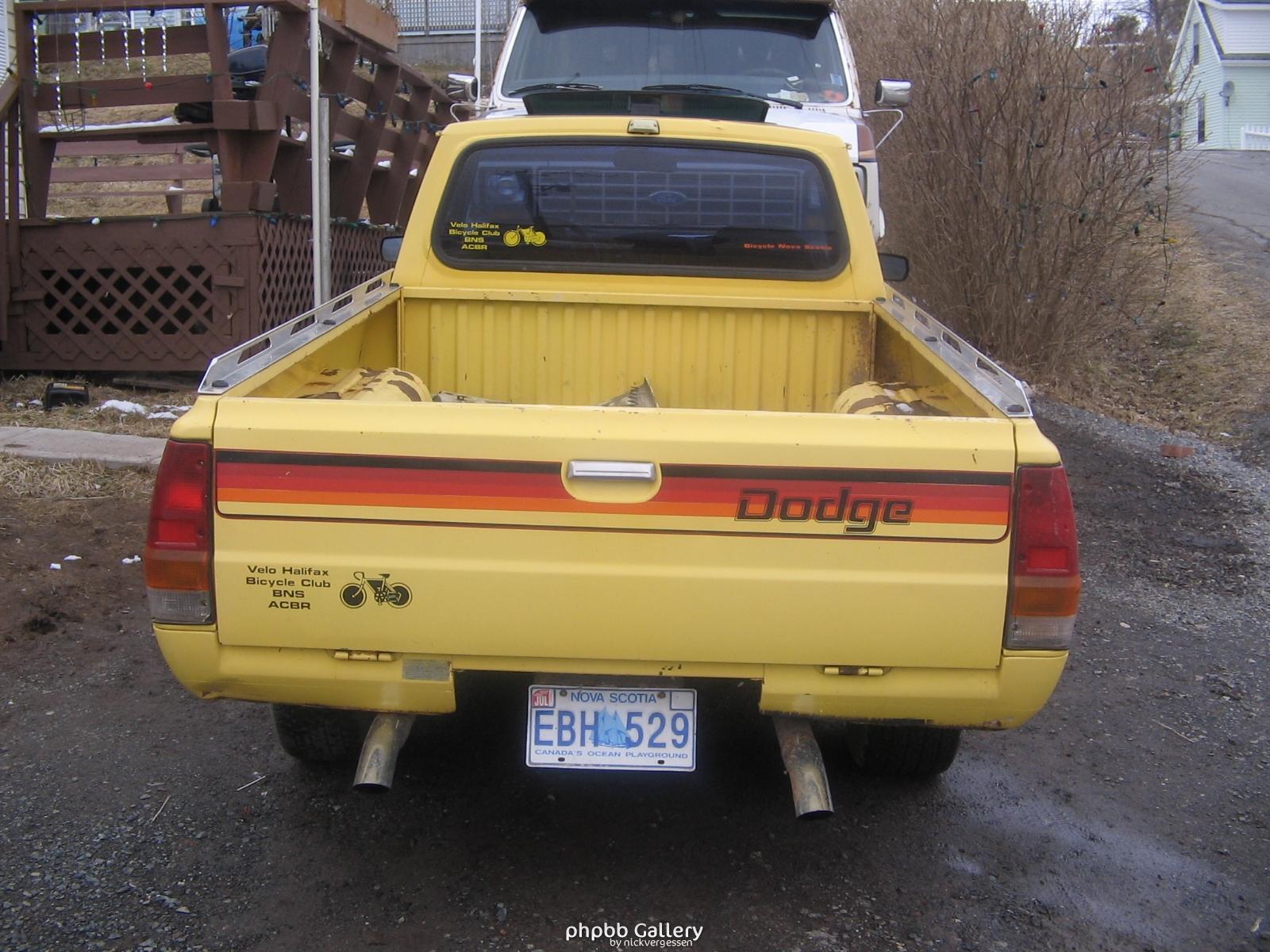 d-50 1