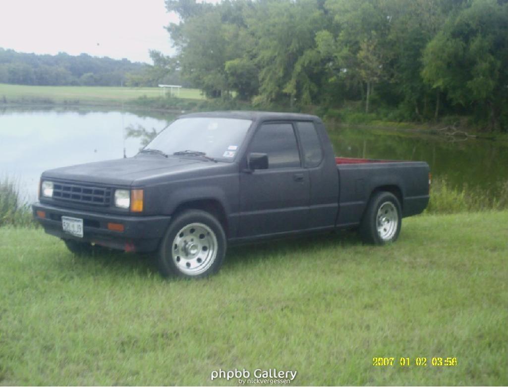 sittin pretty