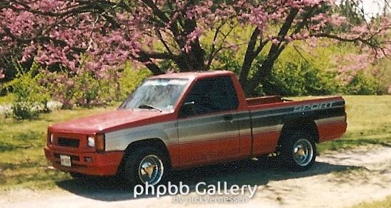 MightyMax And D50s