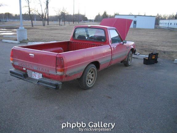 Custom '86 D50 2