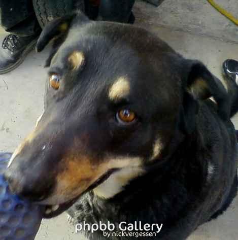 Gabby